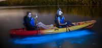 Bioluminescence Tours in Grand Cayman