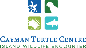 CTC Logo