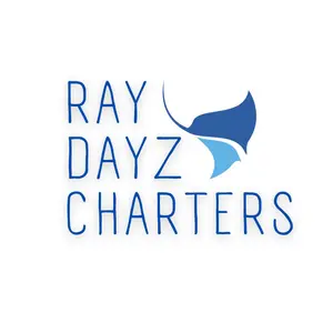 Ray Dayz logo