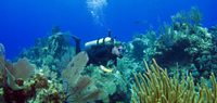 Scuba Diving