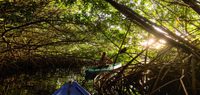 Ritz cayman ambassadors kayak trip
